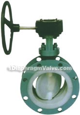 D341F46/F3 flange fluorine lined valves