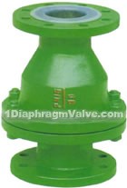 Fluorine Lined Swing Check Valves