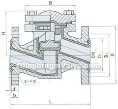 diaphragm check valve